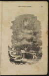 Thumbnail 0013 of The little casket