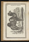 Thumbnail 0012 of Museum of foreign animals, or, History of beasts