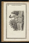 Thumbnail 0014 of Museum of foreign animals, or, History of beasts