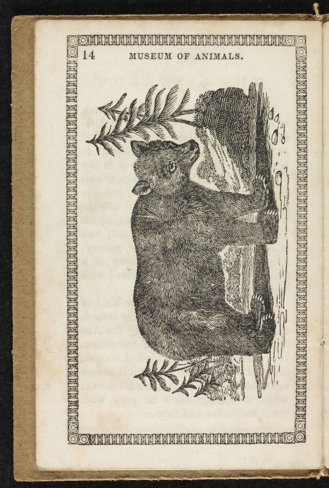 Scan 0018 of Museum of foreign animals, or, History of beasts