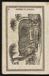 Thumbnail 0006 of Museum of foreign animals, or, History of beasts