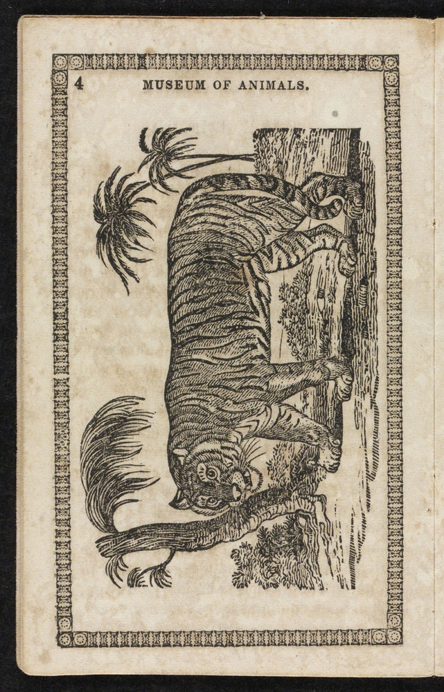 Scan 0006 of Museum of foreign animals, or, History of beasts