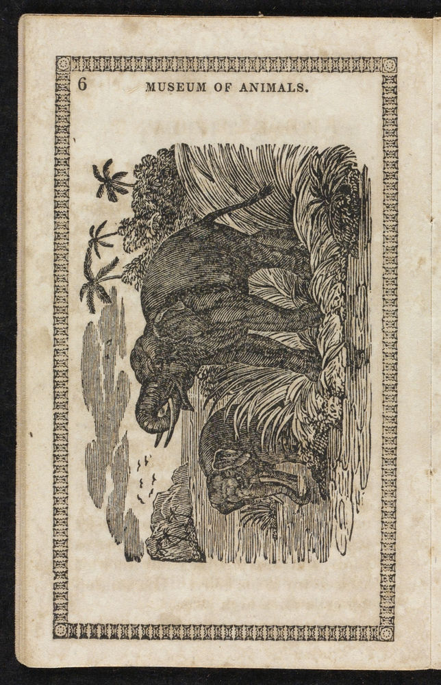 Scan 0008 of Museum of foreign animals, or, History of beasts