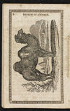 Thumbnail 0010 of Museum of foreign animals, or, History of beasts