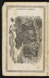 Thumbnail 0008 of Museum of foreign animals, or, History of beasts