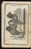 Thumbnail 0010 of Museum of foreign animals, or, History of beasts