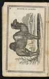 Thumbnail 0010 of Museum of foreign animals, or, History of beasts