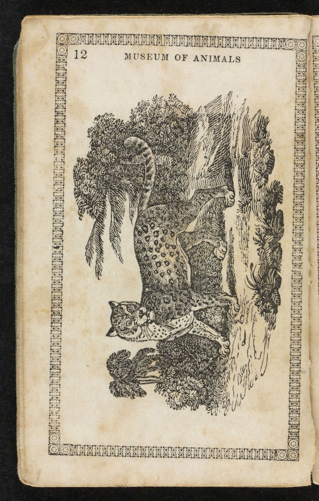 Scan 0014 of Museum of foreign animals, or, History of beasts