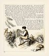 Thumbnail 0039 of My coloured picture story book