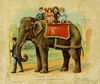 Thumbnail 0014 of My zoo ABC