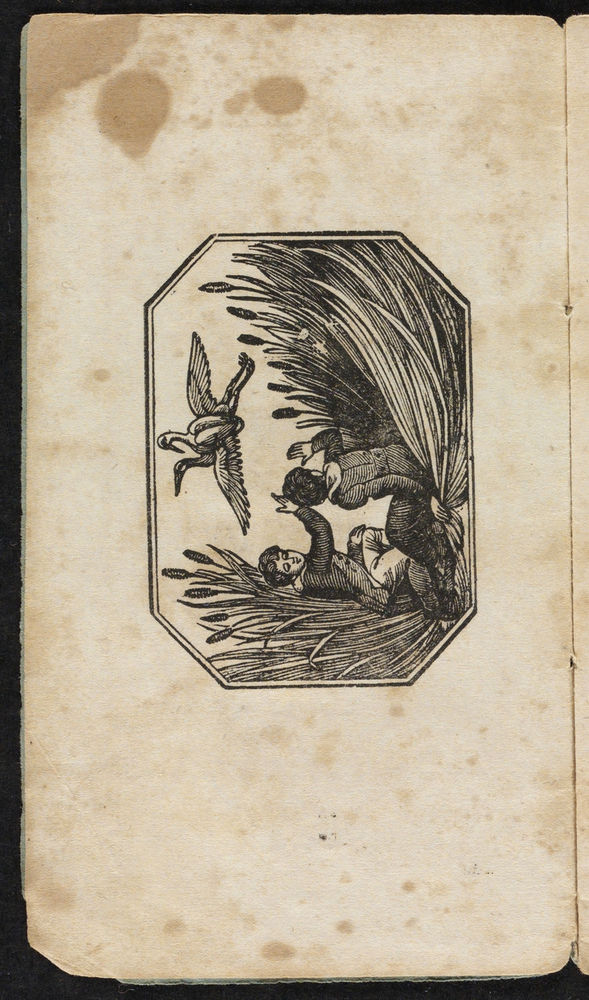 Scan 0004 of Natural history of birds