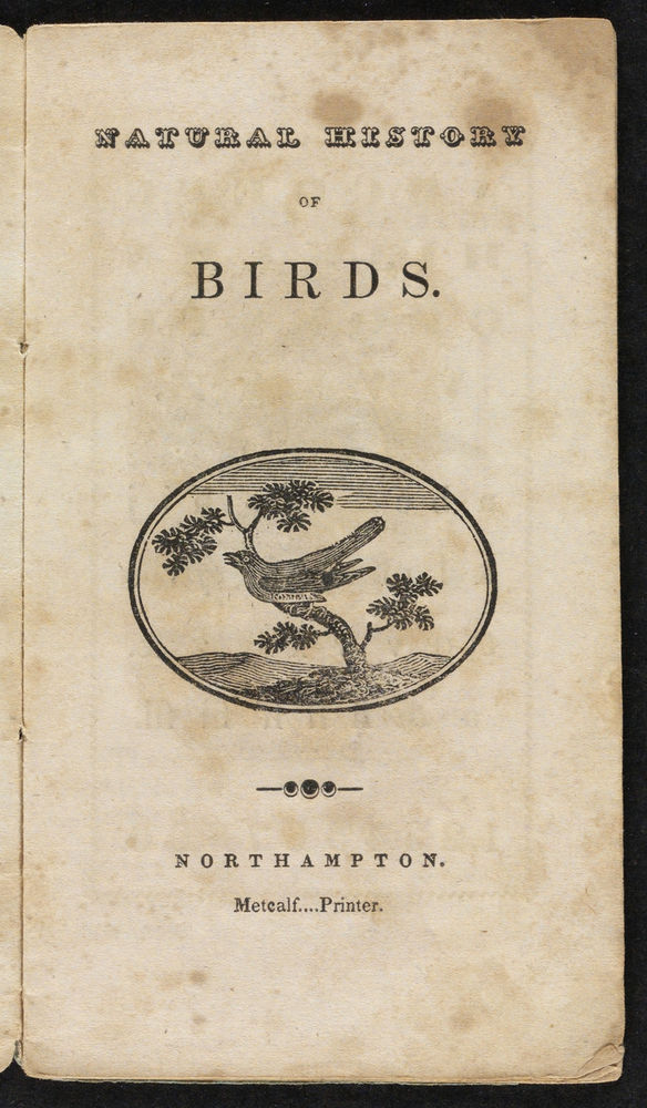 Scan 0005 of Natural history of birds