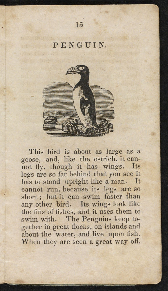 Scan 0017 of Natural history of birds