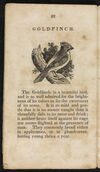 Thumbnail 0024 of Natural history of birds