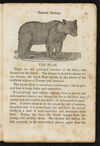 Thumbnail 0007 of Natural history of quadrupeds