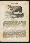 Thumbnail 0009 of Natural history of quadrupeds