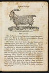 Thumbnail 0011 of Natural history of quadrupeds