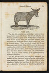 Thumbnail 0013 of Natural history of quadrupeds