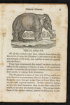 Thumbnail 0019 of Natural history of quadrupeds