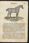 Thumbnail 0025 of Natural history of quadrupeds