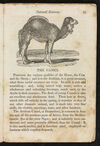 Thumbnail 0027 of Natural history of quadrupeds