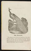 Thumbnail 0004 of The natural history of birds