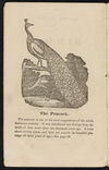 Thumbnail 0004 of The natural history of birds