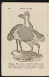 Thumbnail 0008 of The natural history of birds