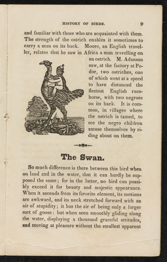 Scan 0011 of The natural history of birds