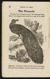 Thumbnail 0014 of The natural history of birds