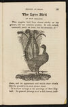 Thumbnail 0023 of The natural history of birds