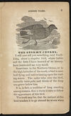 Thumbnail 0007 of New York evening tales, or, Uncle John
