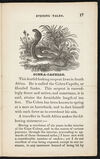 Thumbnail 0017 of New York evening tales, or, Uncle John