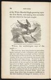 Thumbnail 0020 of New York evening tales, or, Uncle John