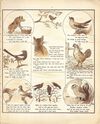 Thumbnail 0011 of Old nursery rhymes