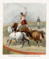 Thumbnail 0004 of Peep at the circus