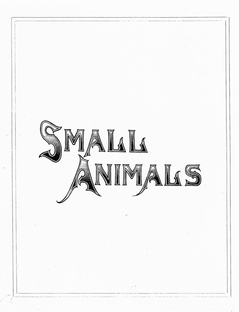 Scan 0023 of Pictures & stories from natural history