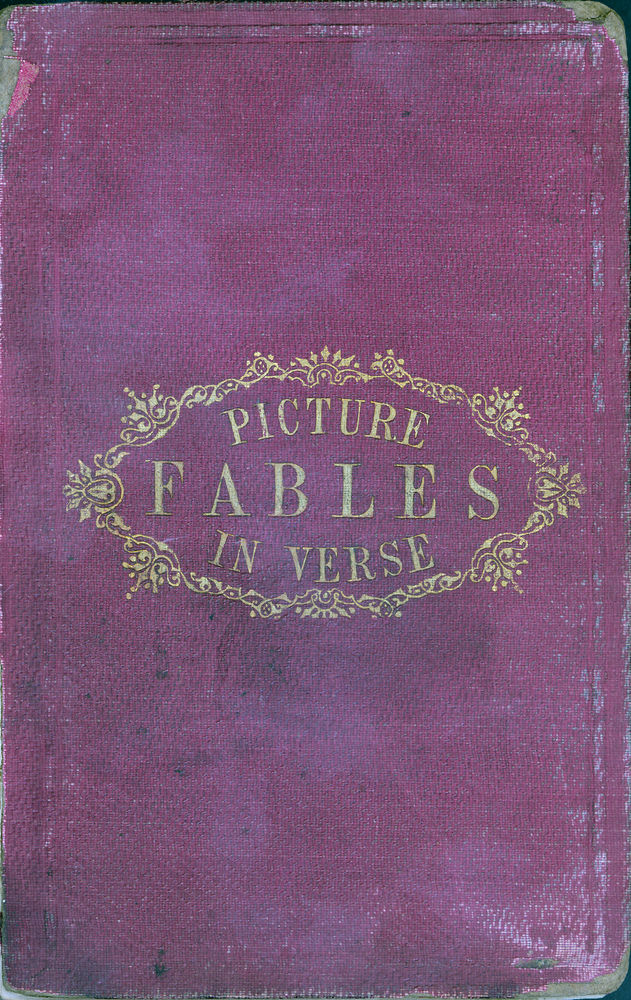 Scan 0001 of Picture fables in verse