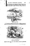 Thumbnail 0285 of A pictorial history of ancient Rome