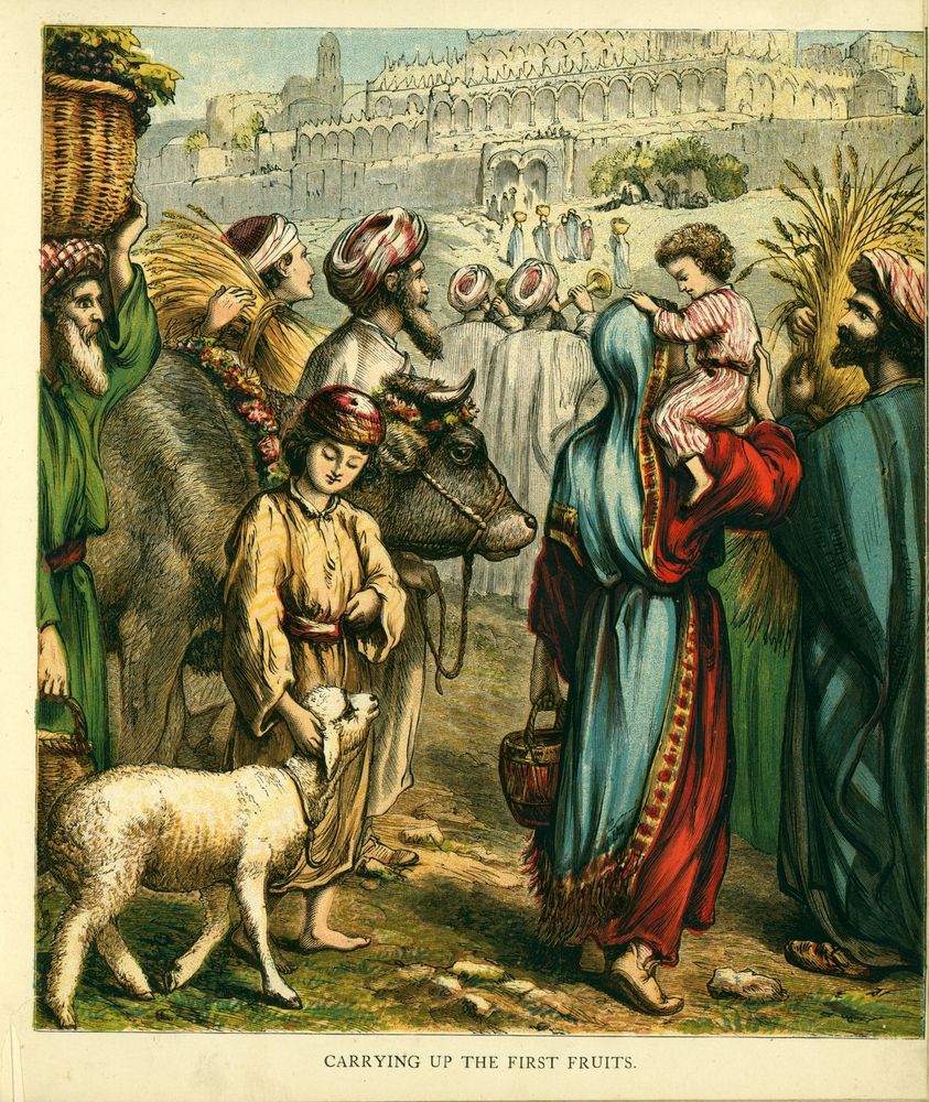 Scan 0003 of Pretty book of Bible pictures