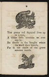 Thumbnail 0005 of The red squirrel