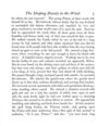 Thumbnail 0011 of Sleeping Beauty in the wood