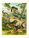 Thumbnail 0005 of Small animals