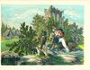 Thumbnail 0014 of Spirit of young America