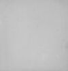 Thumbnail 0003 of Spring blossoms painting book