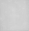 Thumbnail 0014 of Spring blossoms painting book