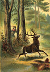 Thumbnail 0012 of Story of Robin Hood