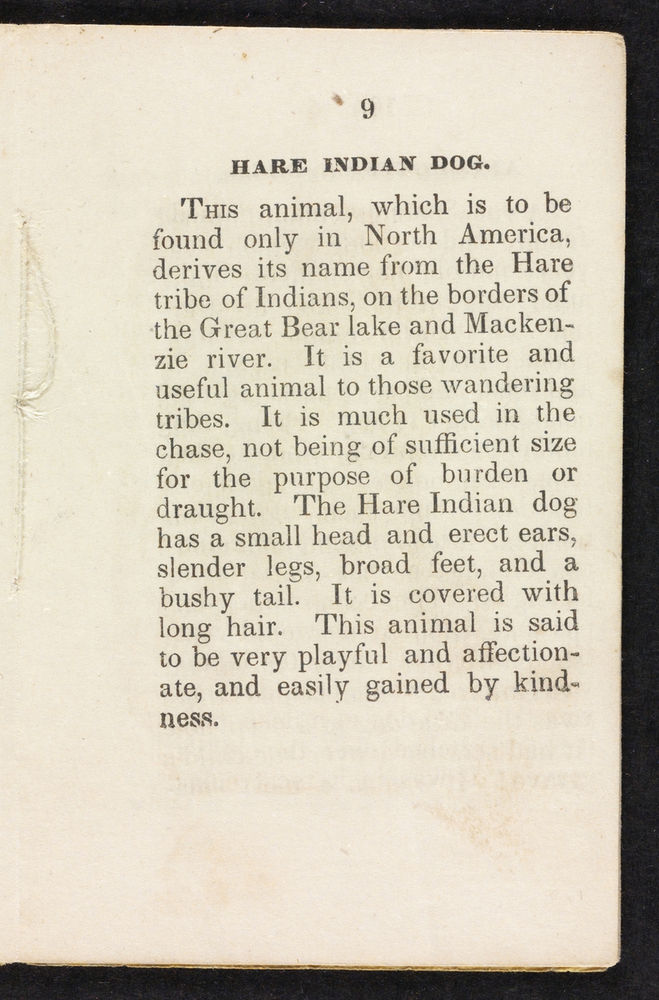 Scan 0011 of Stories about dogs