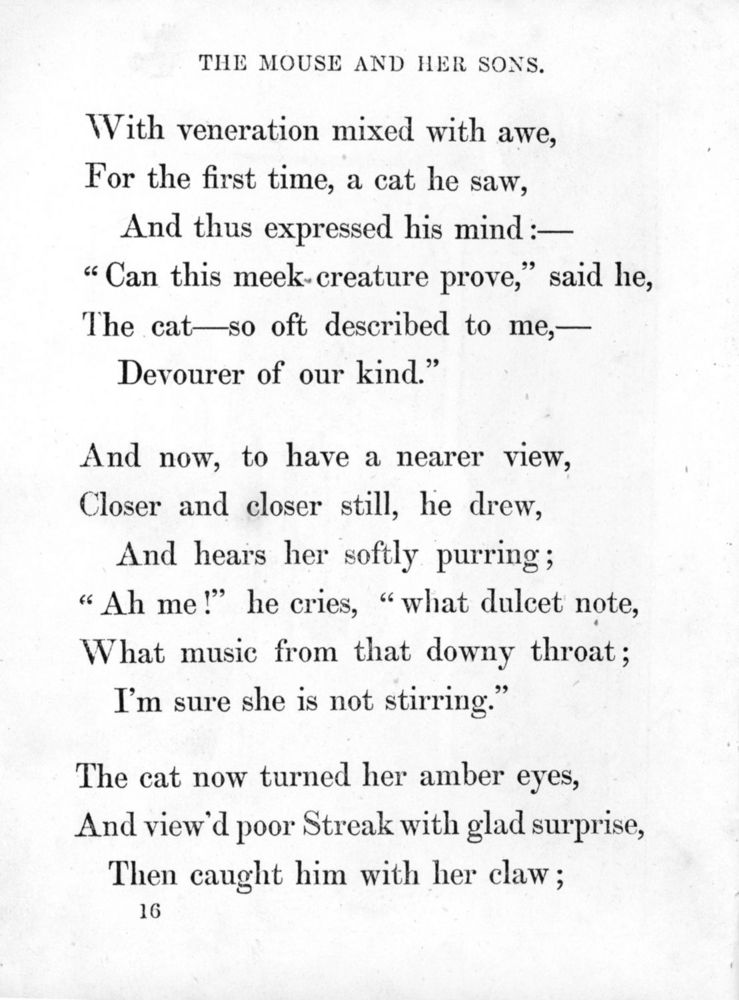 Scan 0023 of Surprising stories about the mouse and her sons, and the funny pigs