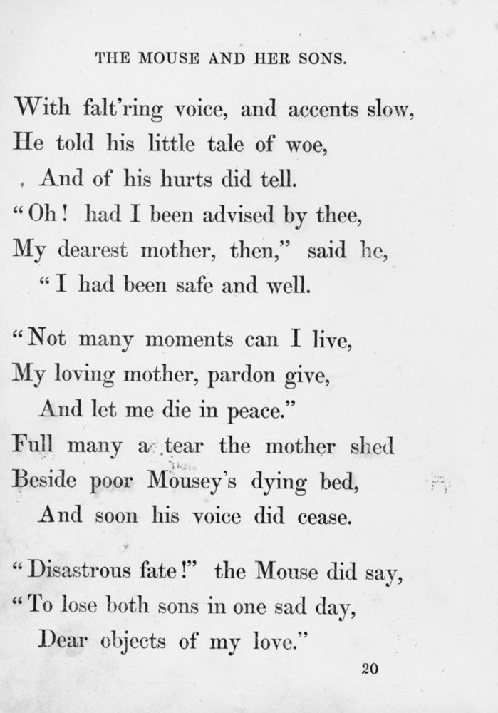 Scan 0027 of Surprising stories about the mouse and her sons, and the funny pigs